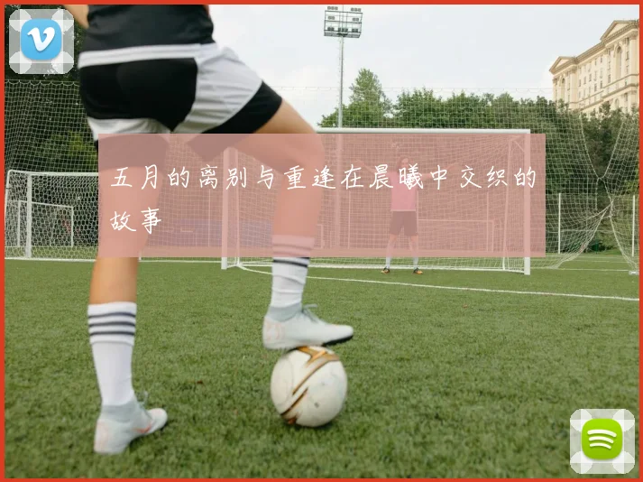 五月的离别与重逢在晨曦中交织的故事