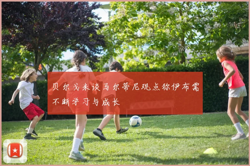贝尔戈米谈马尔蒂尼观点称伊布需不断学习与成长